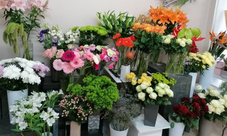 Fleurs fraîches pour création de bouquets - Saint-Aubin-d'Aubigné – Dites Le Avec Des Fleurs
